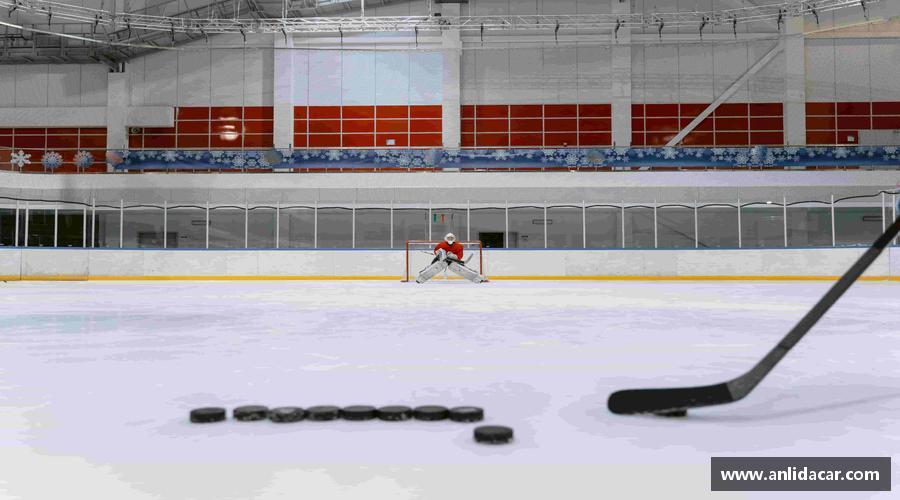 伟德bv国际搏击激情，燃烧梦想！